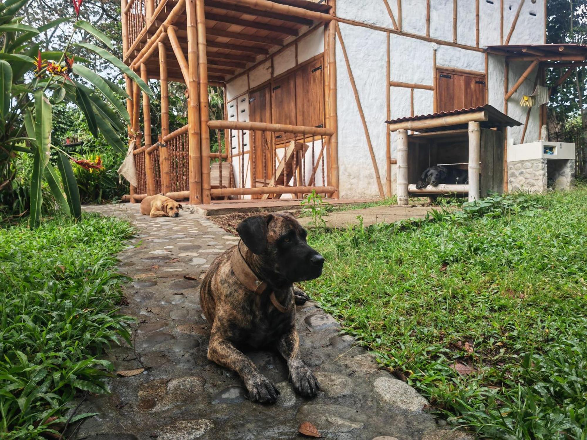 Casa Entera Finca Cometa San Agustin  Luaran gambar