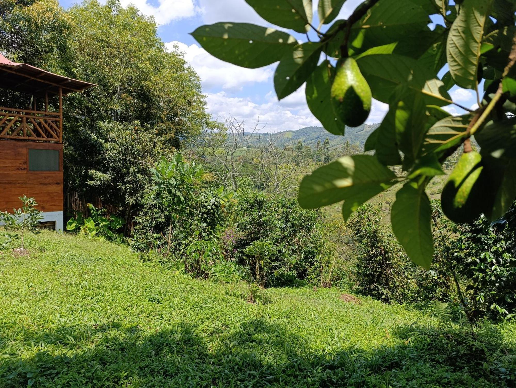 Casa Entera Finca Cometa San Agustin  Luaran gambar